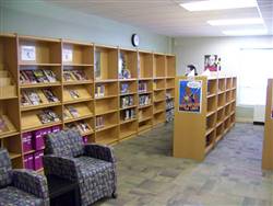 Library wooden shelf