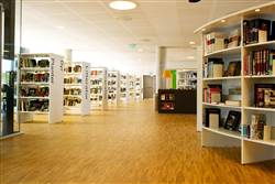 Modern library interiors design